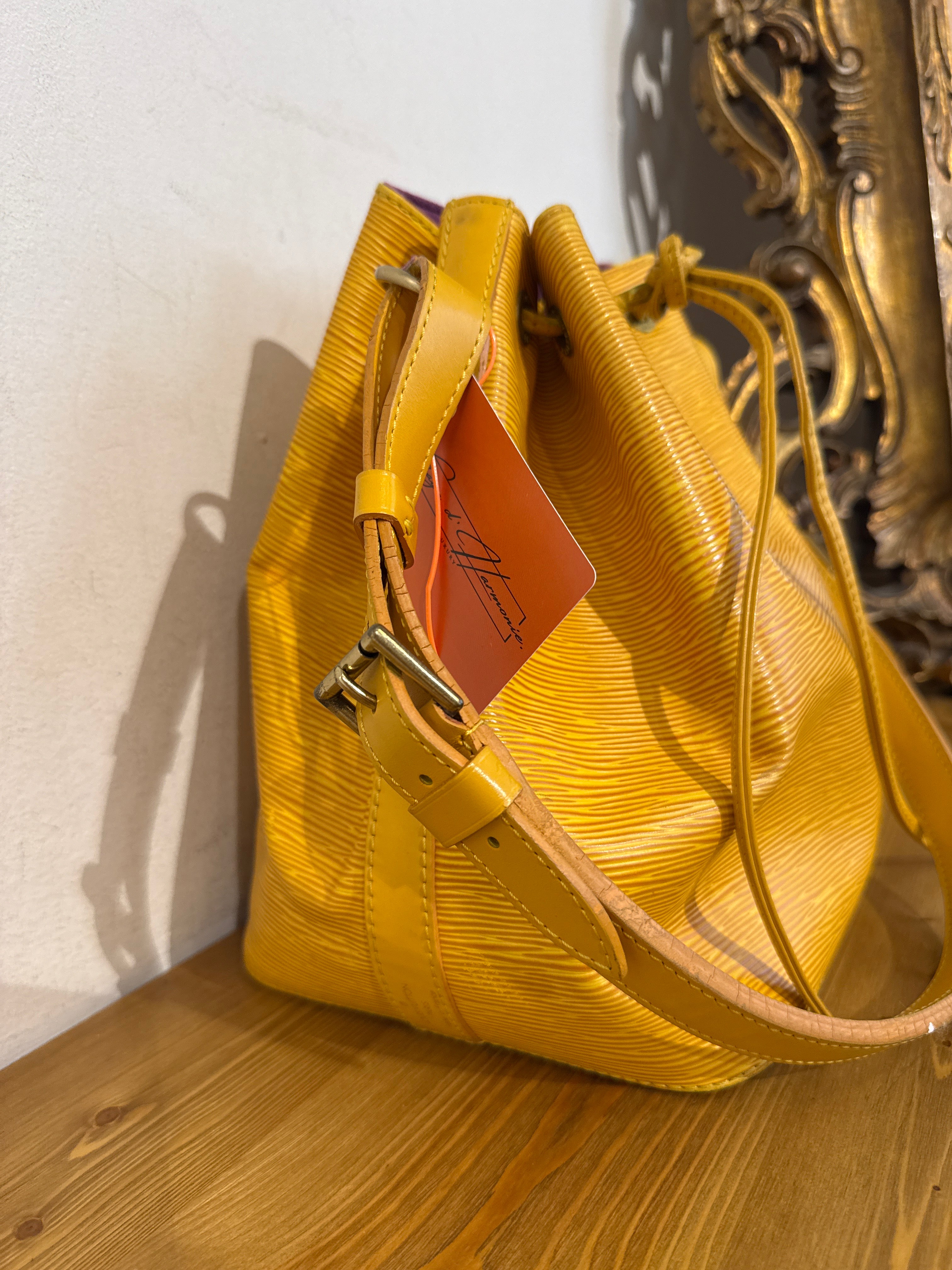 Louis Vuitton Petit Noe Epi