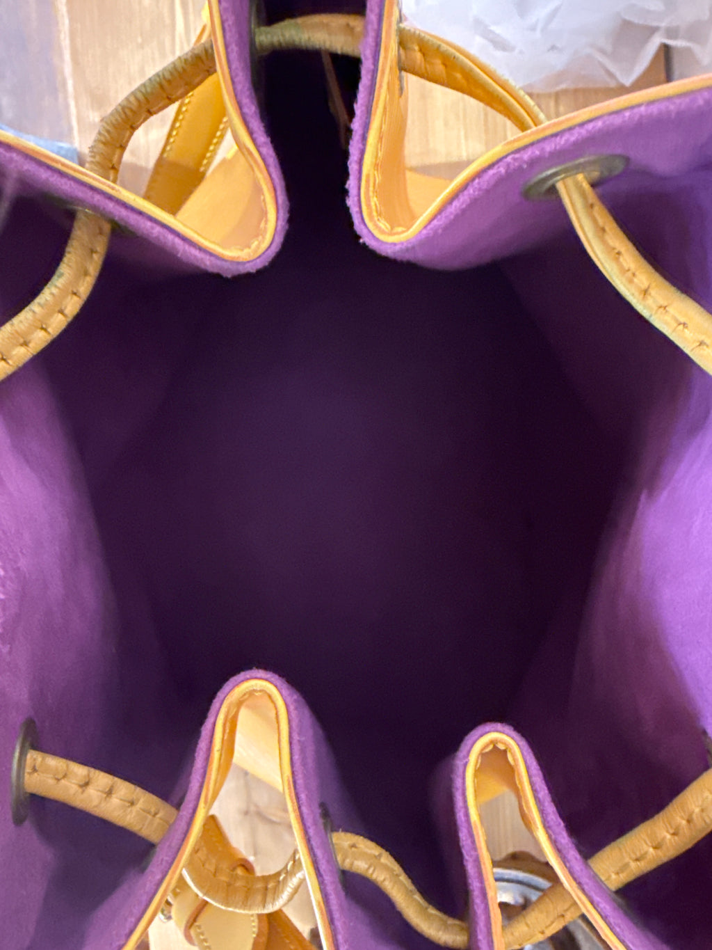 Louis Vuitton Petit Noe Epi