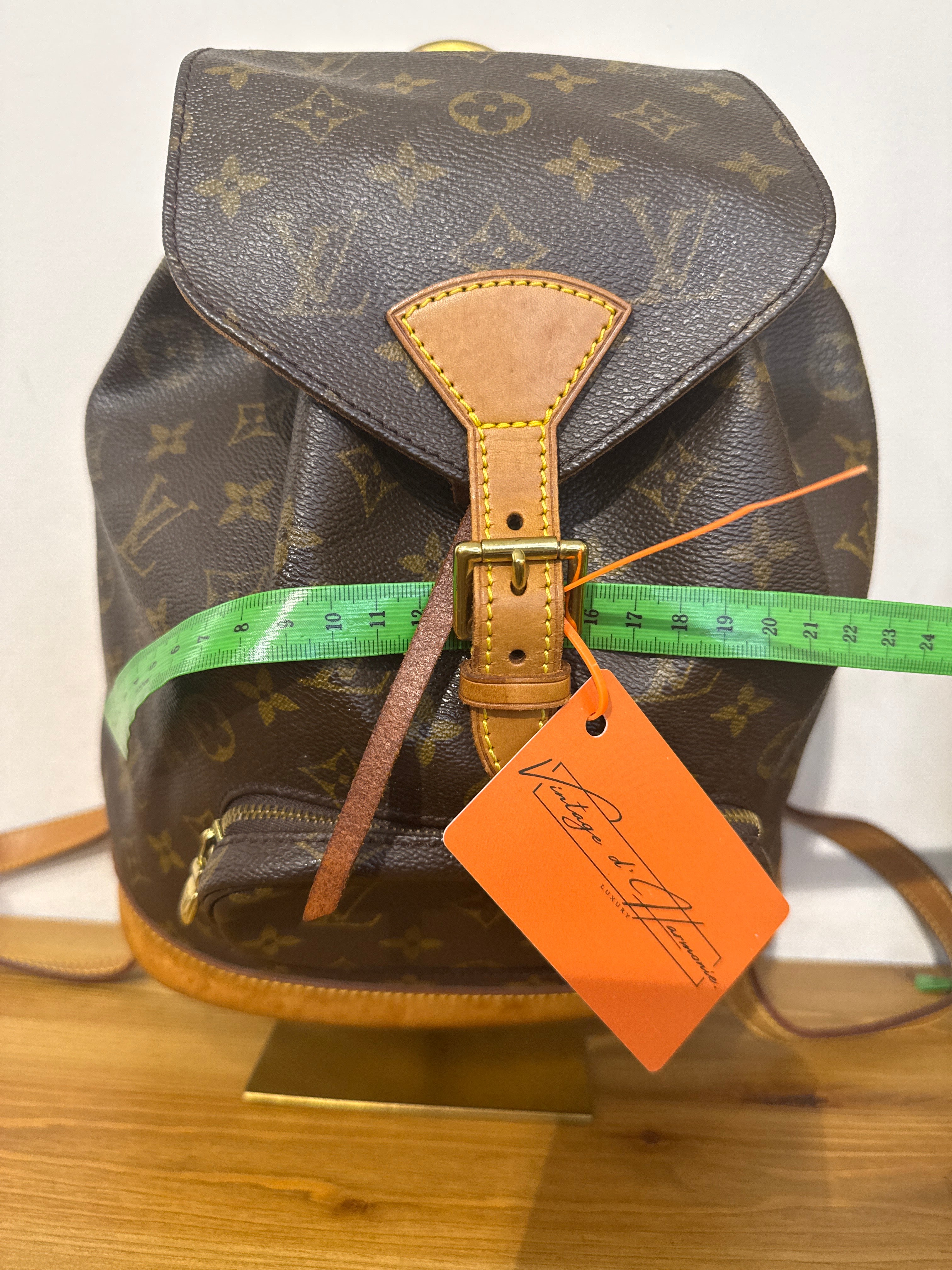 Louis Vuitton Montsouris MM
