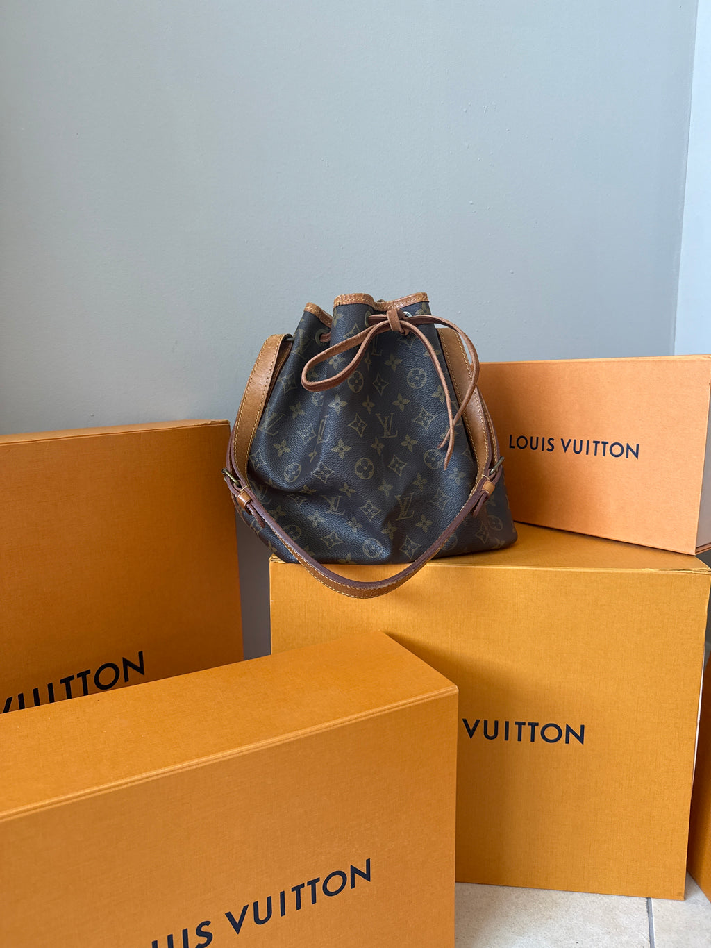 Louis Vuitton Petit Noè