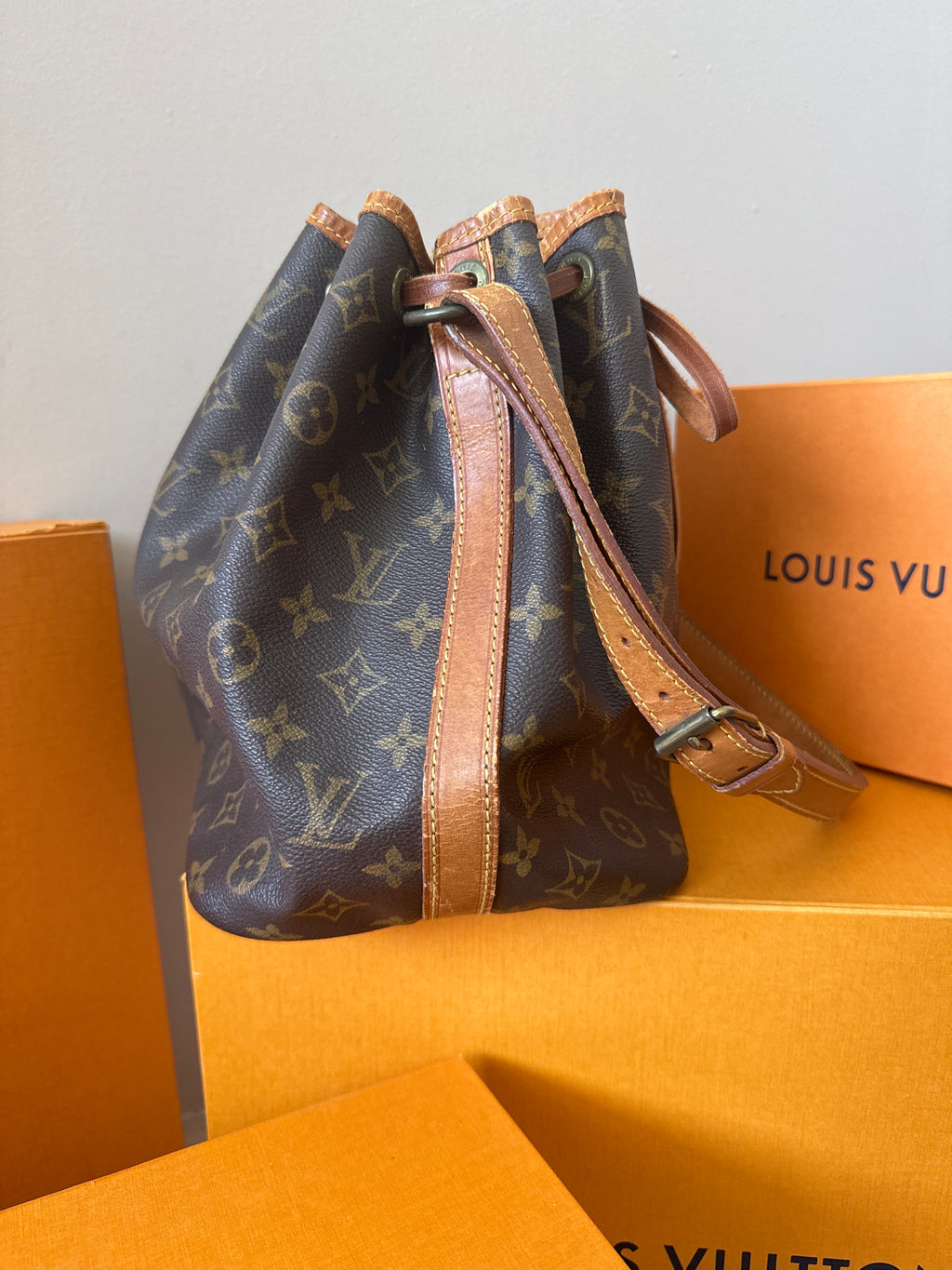 Louis Vuitton Petit Noè