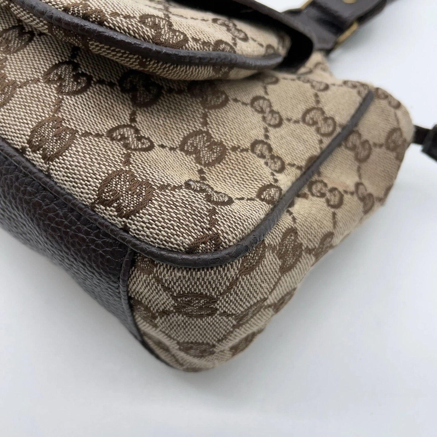 Gucci Canvas